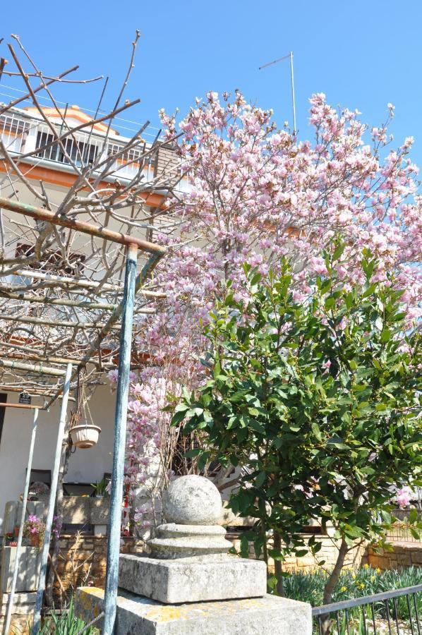 Apartman Mirna Rovinj Dış mekan fotoğraf