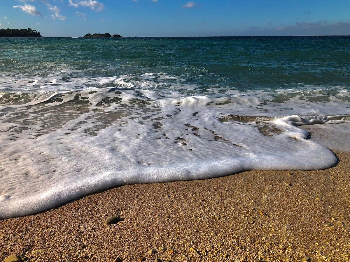 Apartman Mirna Rovinj Dış mekan fotoğraf