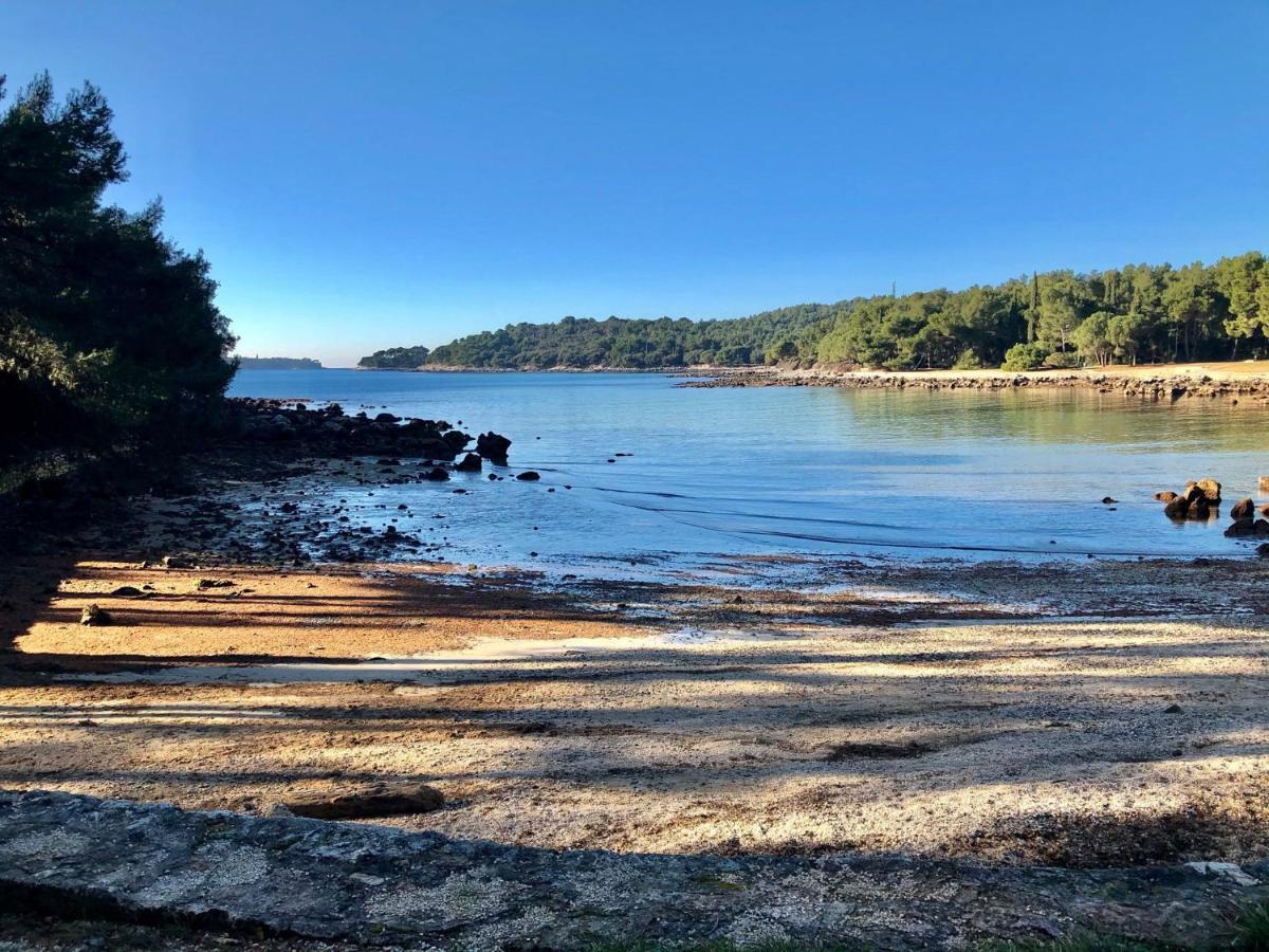 Apartman Mirna Rovinj Dış mekan fotoğraf