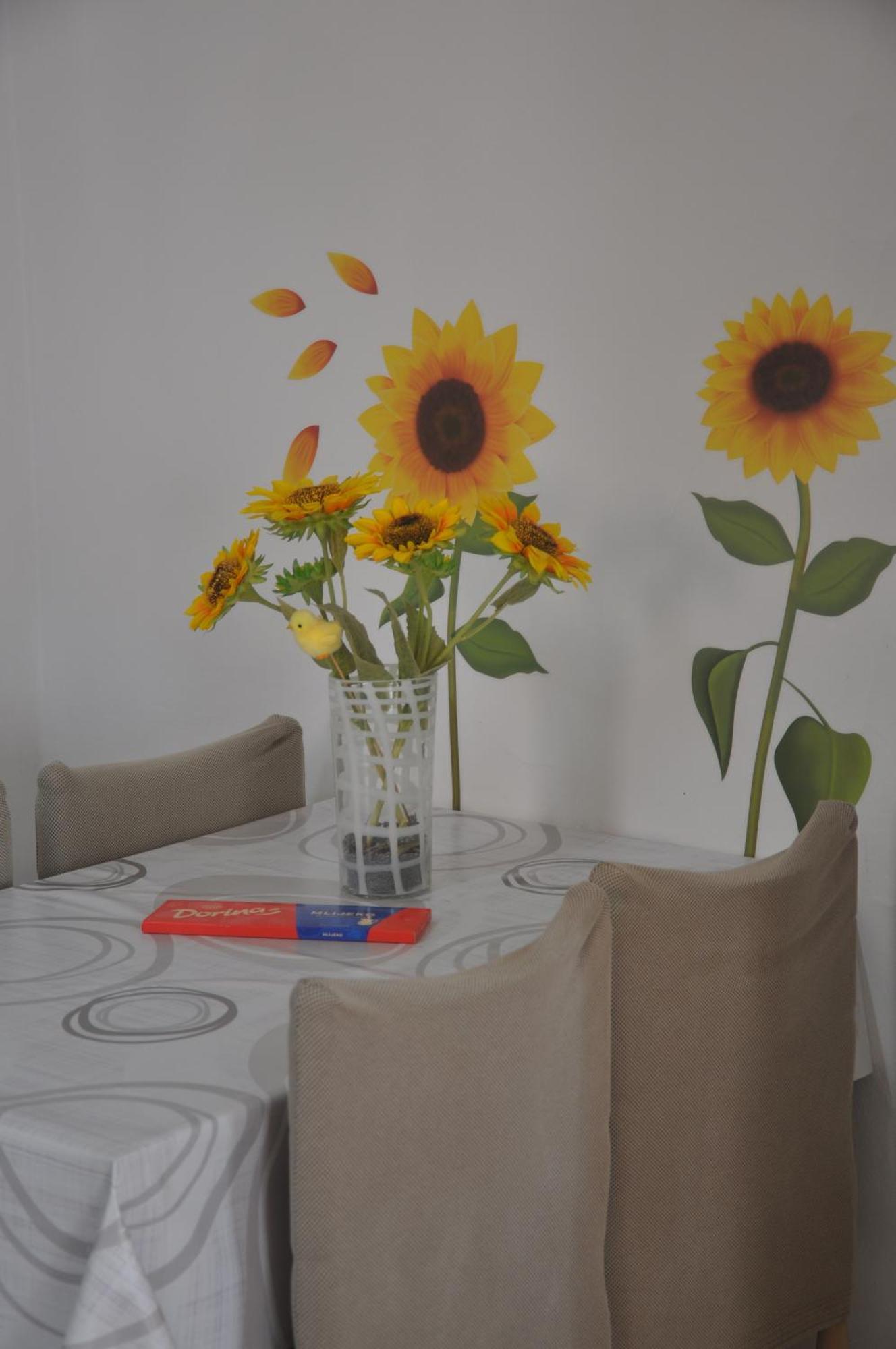 Apartman Mirna Rovinj Dış mekan fotoğraf